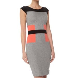 French Connection Bodycon Block Dress